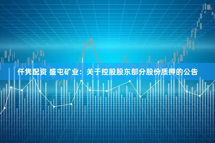 仟隽配资 盛屯矿业：关于控股股东部分股份质押的公告